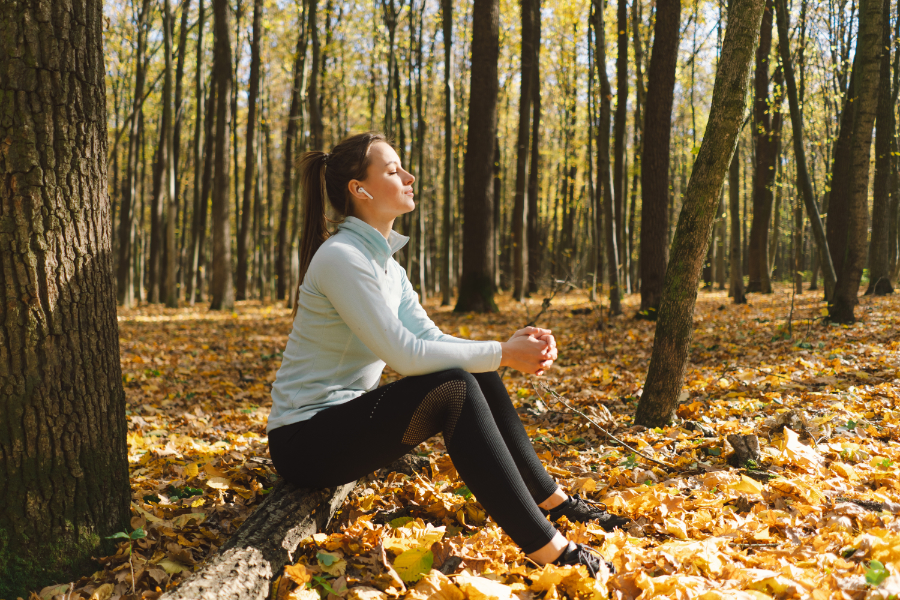 Retiro de meditación en la naturaleza